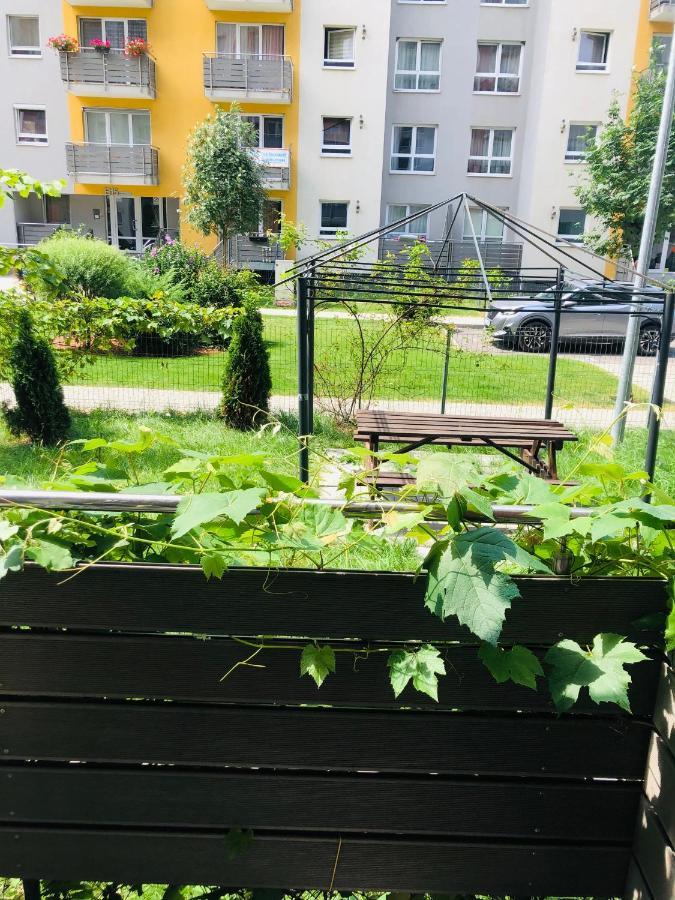 Brasov 3C Delux Daire Dış mekan fotoğraf